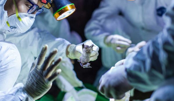 update-blog5 update-blog5